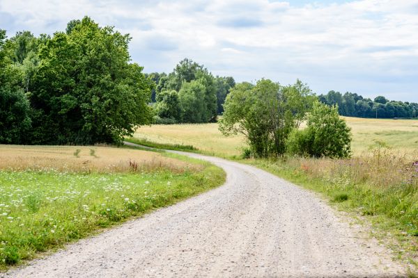 Cost of Stone Driveway Repair in Wheaton