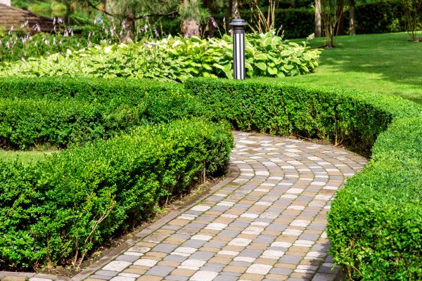 Cost of Paved Landscaping in Wheaton