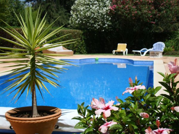 Pool Terrace Renovation in Wheaton